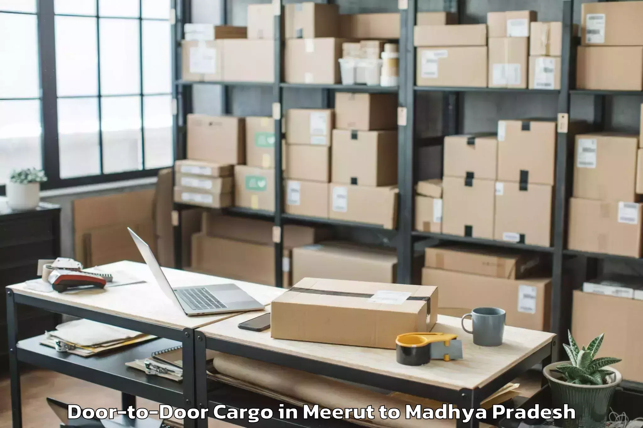 Easy Meerut to Ratlam Door To Door Cargo Booking